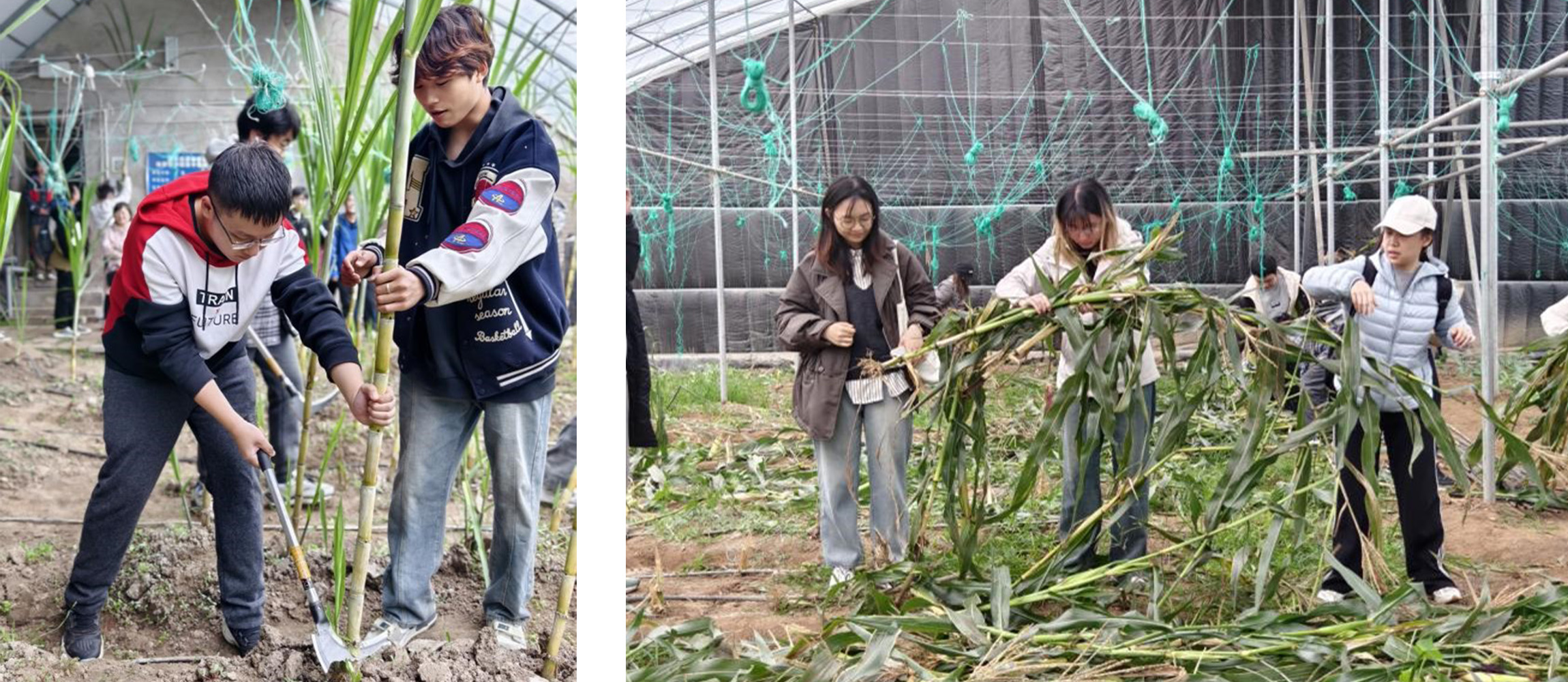 ba8f37d1b1164ab0a713c9dc161b7e2a.jpg ba8f37d1b1164ab0a713c9dc161b7e2a.jpg