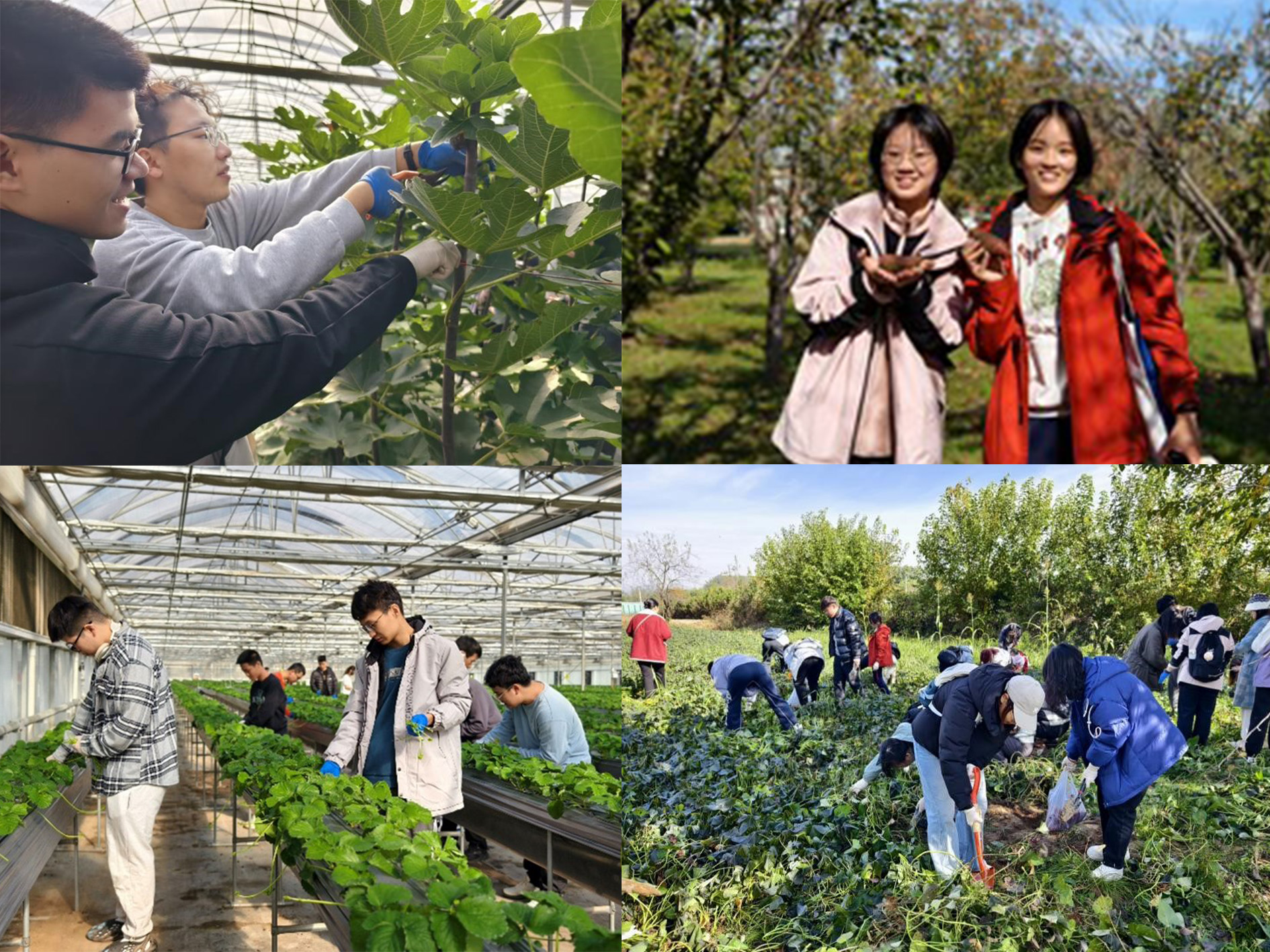 8a005cbd5b6948ef983e586576906b47.jpg 8a005cbd5b6948ef983e586576906b47.jpg